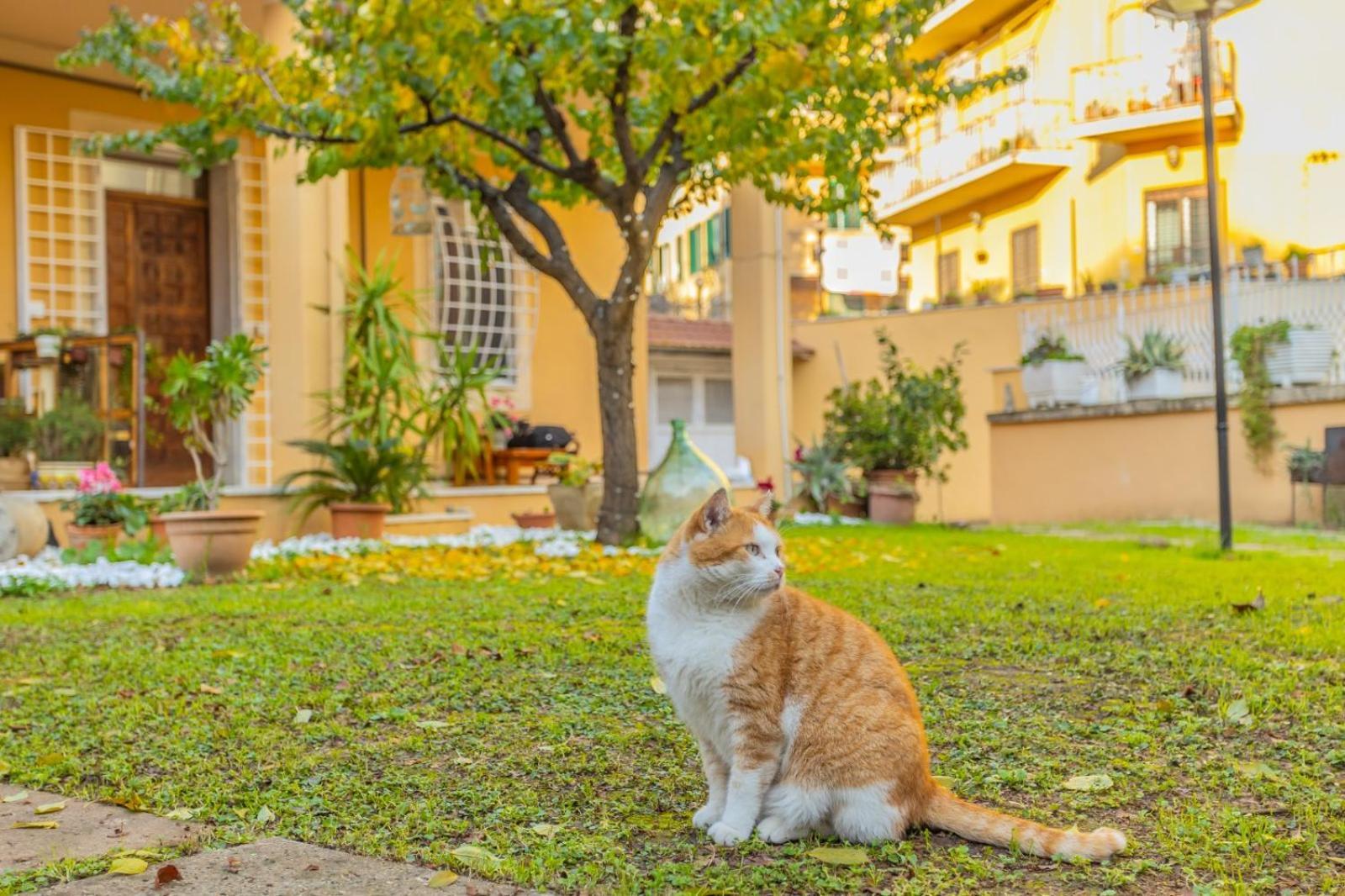 Villa Gatta Rome Bagian luar foto
